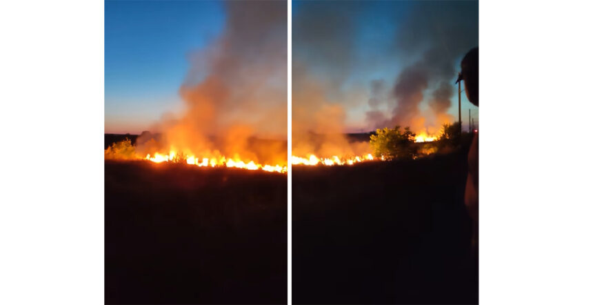 video incendiu de vegetatie filmat de o localnica din murfatlar vai ce mare e 6857944b43955