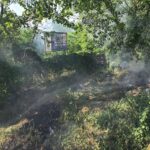 video incendiu de vegetatie la intrarea in mamaia pompierii au intervenit de urgenta in apropierea bazei tenis club 683c6f969d9e5