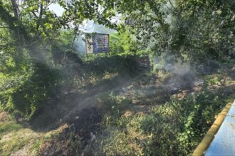video incendiu de vegetatie la intrarea in mamaia pompierii au intervenit de urgenta in apropierea bazei tenis club 683c6f969d9e5