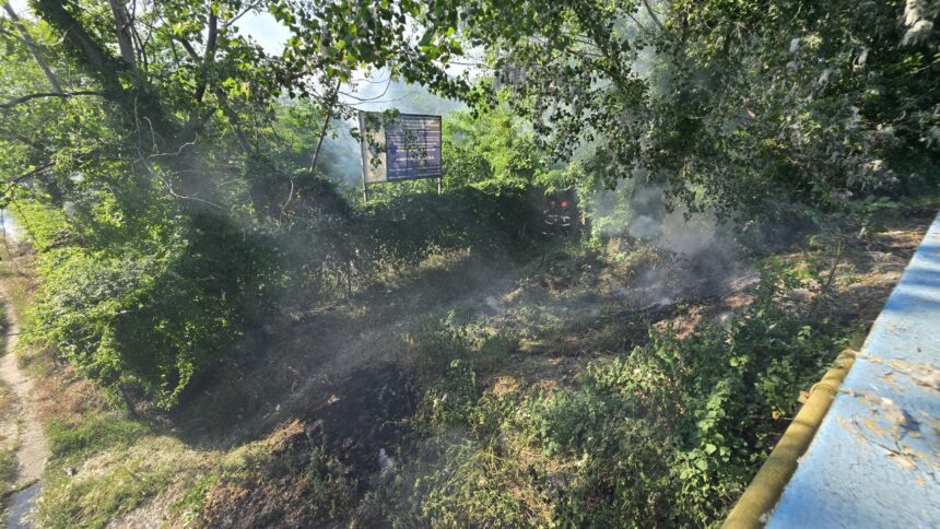 video incendiu de vegetatie la intrarea in mamaia pompierii au intervenit de urgenta in apropierea bazei tenis club 683c6f969d9e5