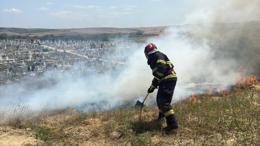 video incendiu de vegetatie uscata in cimitirul din tulcea pompierii actioneaza cu trei autospeciale 6852a9b16e6e9