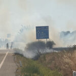 video incendiu puternic de vegetatie la maglavit in dolj pe o suprafata de 70 80 hectare traficul rutier a fost deviat 685d72991d2b1