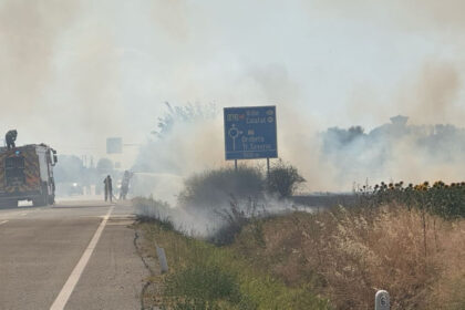 video incendiu puternic de vegetatie la maglavit in dolj pe o suprafata de 70 80 hectare traficul rutier a fost deviat 685d72991d2b1