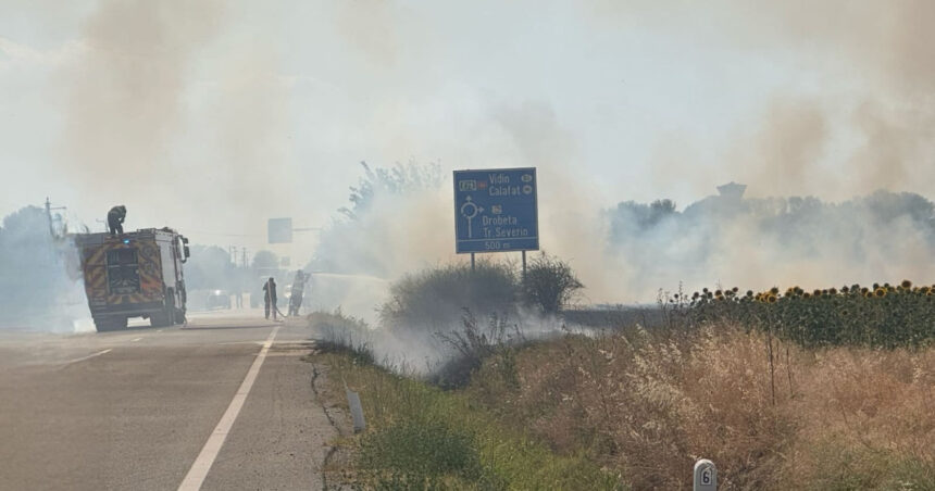 video incendiu puternic de vegetatie la maglavit in dolj pe o suprafata de 70 80 hectare traficul rutier a fost deviat 685d72991d2b1
