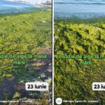 video invazie de alge la malul marii de adunat dimineata nu se poate 685a4566a0182