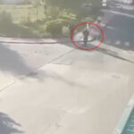 video noi date in cazul crimei din cartierul rezidential de langa bucuresti pistolul folosit de barbat ar fi fost furat din italia surse 683d9f69abd71