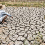 video planeta va depasi in trei ani pragul incalzirii globale de 15 grade celsius avertizeaza oamenii de stiinta 6853e560a300a