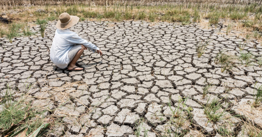 video planeta va depasi in trei ani pragul incalzirii globale de 15 grade celsius avertizeaza oamenii de stiinta 6853e560a300a