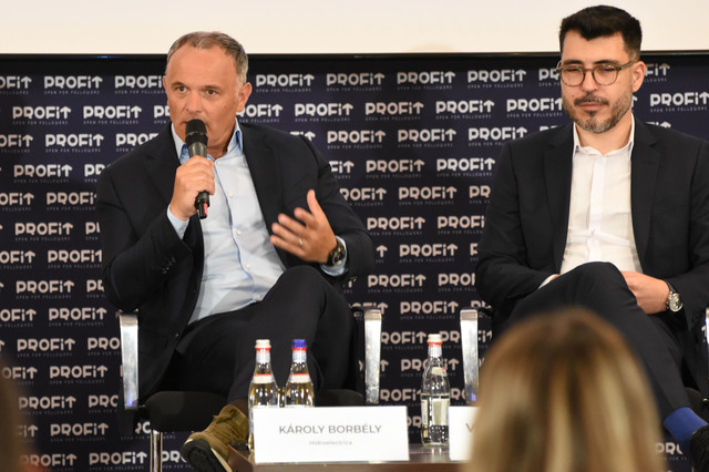 video profit ro piata de capital forum karoly borbely presedinte directorat hidroelectrica avem 10 000 11 000 de cereri de contracte de furnizare de energie de la potentiali clien 684aabb36abac