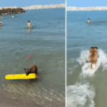 video salvamarii din costinesti au cooptat un nou membru in echipa pe chelsea o femela malinois 6851907304720