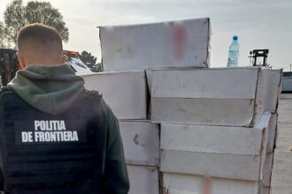 video sapte milioane de tigarete descoperite intr un container in portul constanta 685665f1e8fa0