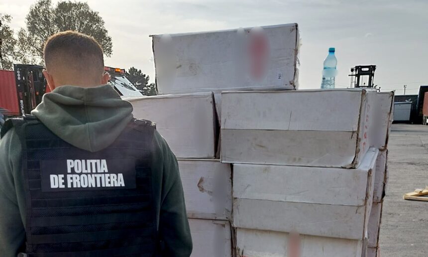 video sapte milioane de tigarete descoperite intr un container in portul constanta 685665f1e8fa0