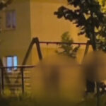 video scene socante intr un parc din brasov femeie batuta de sot in timp ce copilul plange in leagan agresorul a fost retinut 68466381f3855