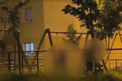 video scene socante intr un parc din brasov femeie batuta de sot in timp ce copilul plange in leagan agresorul a fost retinut 68466381f3855