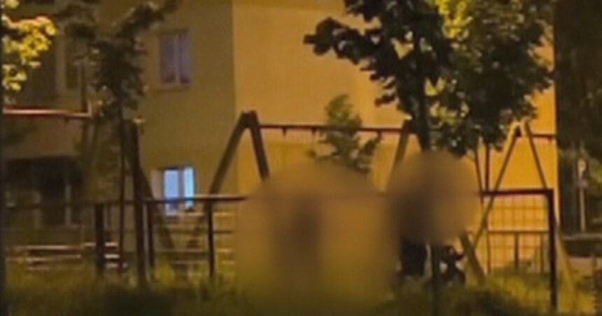 video scene socante intr un parc din brasov femeie batuta de sot in timp ce copilul plange in leagan agresorul a fost retinut 68466381f3855