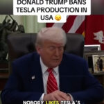 video trump decide oprirea productiei de masini tesla in sua videoclipul fake news care a devenit viral a fost generat cu ajutorul ai 6847035f379ee