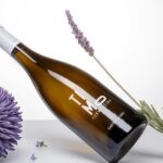 vinul zilei un alb spectaculos desemnat cel mai vandut vin alb de import la unvinpezi ro note de flori albe si citrice accente de vegetatie mediteraneana si un final condimentat 6847cd1289564