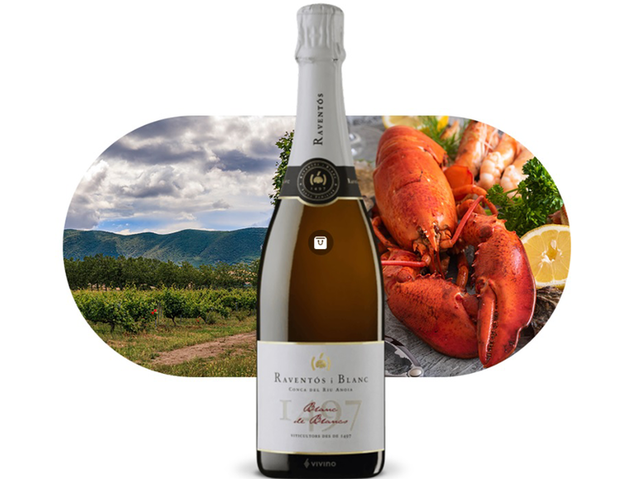 vinul zilei un spumant mediteraneean vibrant cu note de flori albe citrice si nuci savuros alaturi de fructe de mare peste tartar de somon preparate fine cu legume si branzeturi cotat cu 92 pu 68579ea325632