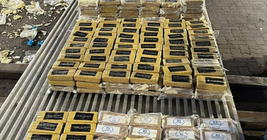 820 de kilograme de cocaina capturate la intrarea in rusia stupefiantele erau ascunse in containere cu banane 68781c55a473f