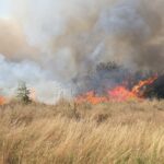 a luat foc vegetatia de pe soseaua constantei din cumpana intervin pompierii cu mai multe autospeciale 6880b22abc374