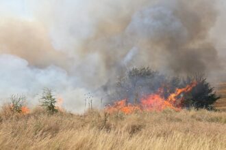 a luat foc vegetatia de pe soseaua constantei din cumpana intervin pompierii cu mai multe autospeciale 6880b22abc374