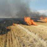 a luat foc vegetatia uscata de pe islazul localitatii castelu intervin pompierii constanteni 6877b31fbaffd