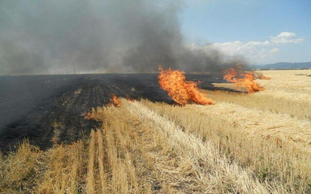 a luat foc vegetatia uscata de pe islazul localitatii castelu intervin pompierii constanteni 6877b31fbaffd