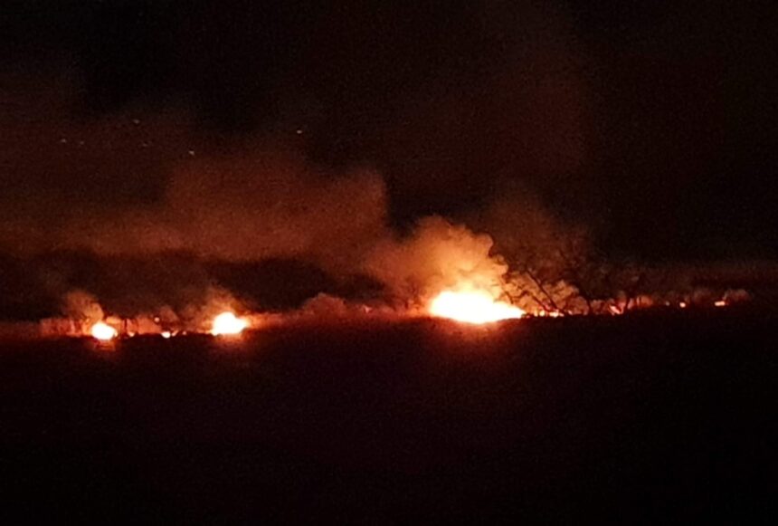 a luat foc vegetatia uscata de pe valea portului din constanta pompierii intervin la fata locului 687548d792531