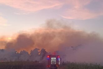 alerta primarul comunei gradina dupa izbucnirea unui incendiu in rezervatia naturala cheile dobrogei focul e posibil sa se extinda spre sat nu este de gluma 6873f5b0bab82