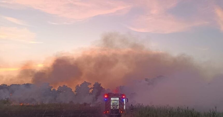 alerta primarul comunei gradina dupa izbucnirea unui incendiu in rezervatia naturala cheile dobrogei focul e posibil sa se extinda spre sat nu este de gluma 6873f5b0bab82