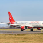 animawings lanseaza trei noi rute din bucuresti 687a3356ce6bc