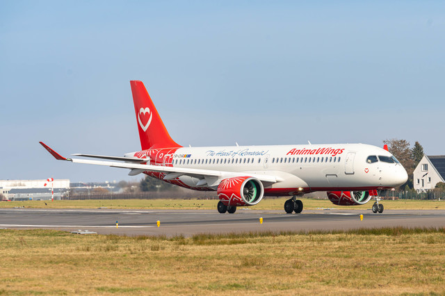 animawings lanseaza trei noi rute din bucuresti 687a3356ce6bc
