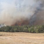 arde padurea in localitatea greci judetul tulcea intervin pompierii si un elicopter black hawk 6875dc358bf2b