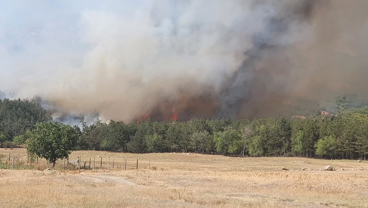 arde padurea in localitatea greci judetul tulcea intervin pompierii si un elicopter black hawk 6875dc358bf2b