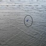 barcagiul militar din sulina care a condus ambarcatiunea ce s a rasturnat in zona golfului musura a fost arestat preventiv 4 persoane au murit 688a25cc418f1