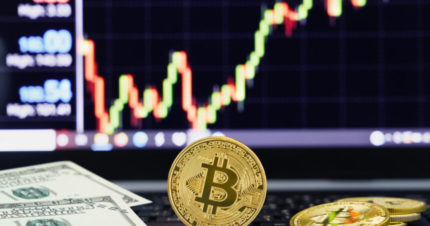 bitcoin atinge un nou record istoric pe ce pariaza investitorii in criptomonede 6875642a9100e