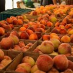 caloria ro fructe care nu ingrasa deloc in timpul verii 68676d5f3a936