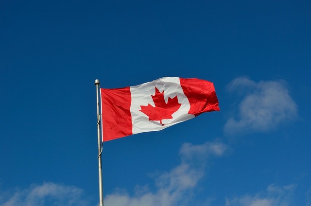 canada intentioneaza sa recunoasca palestina 688b0cc48761d