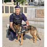 catelusa aria este cel mai nou membru al familiei jandarmeriei constanta ea se va specializa in detectarea substantelor stupefiante 68776e13cf588