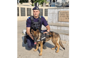 catelusa aria este cel mai nou membru al familiei jandarmeriei constanta ea se va specializa in detectarea substantelor stupefiante 68776e13cf588