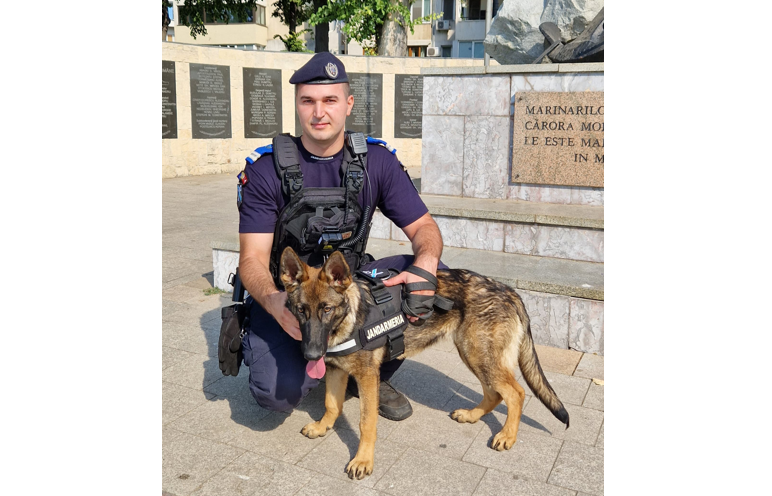 catelusa aria este cel mai nou membru al familiei jandarmeriei constanta ea se va specializa in detectarea substantelor stupefiante 68776e13cf588