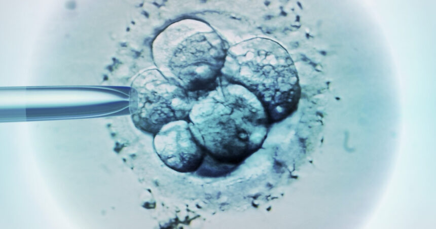 ceasul biologic al barbatilor legat de avorturile spontane in cazul fertilizarii in vitro 686c1120c5f5d