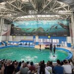 constanta iata programul sectiilor complexului muzeal de stiinte ale naturii 6871ff60a9632