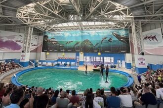 constanta iata programul sectiilor complexului muzeal de stiinte ale naturii 6871ff60a9632