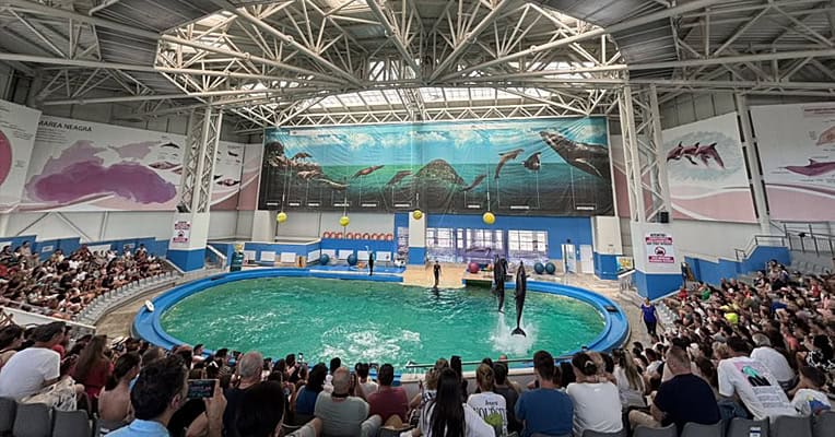 constanta iata programul sectiilor complexului muzeal de stiinte ale naturii 6871ff60a9632