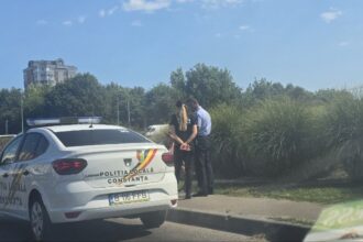 doi soferi din navodari si cogealac prinsi in flagrant de politisti unul era baut celalalt avea permisul suspendat 6874f2891ef19