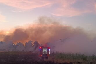 dupa 3 zile de lupta cu flacarile pompierii au reusit sa stinga incendiul de la chilia peste 1 300 de hectare din care aproape o suta de padure mistuite 686c165da483f