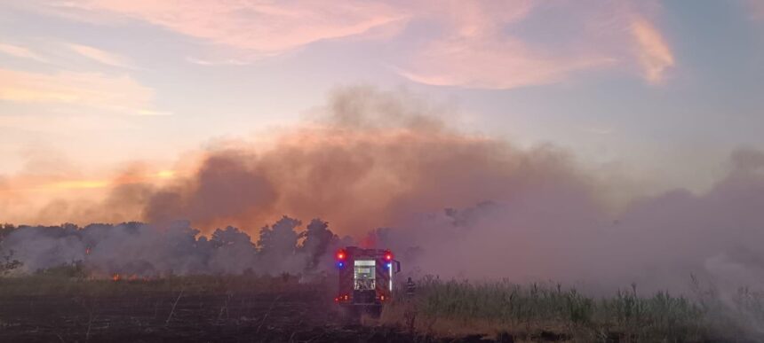 dupa 3 zile de lupta cu flacarile pompierii au reusit sa stinga incendiul de la chilia peste 1 300 de hectare din care aproape o suta de padure mistuite 686c165da483f