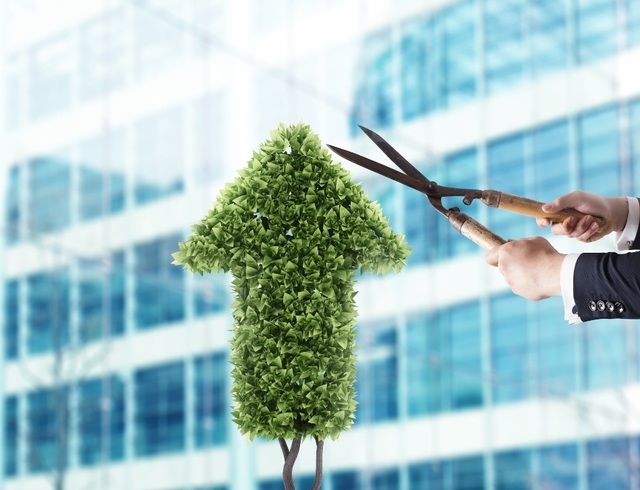 electrica intra in linie dreapta cu obligatiunile care ii vor finanta proiectele in regenerabile noile bonduri verzi ar urma sa aiba un rating bbb din partea fitch ce spune agentia de evaluare fina 6866a1a7072dd