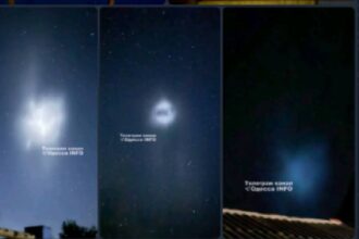 fenomen neobisnuit bubuitura uriasa in periprava fara explicatie oficiala 6881d95fb7336